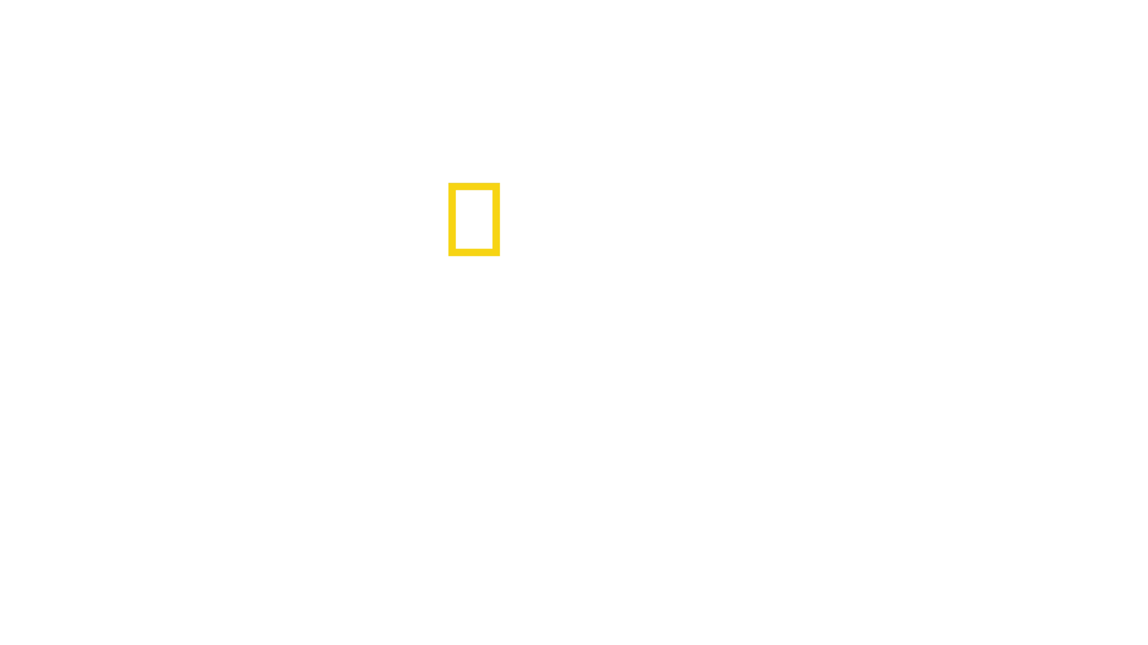 绝命鲨对阵逆戟鲸