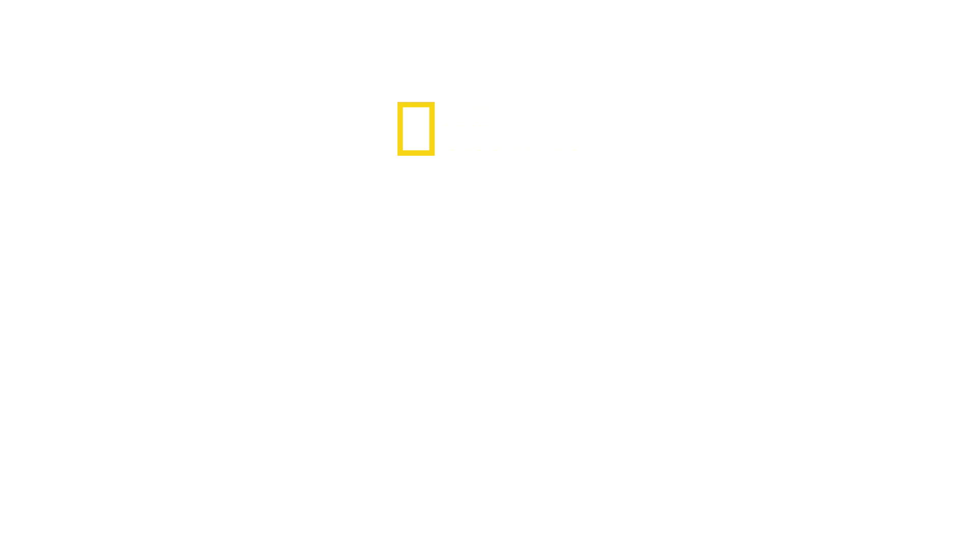 IMPACT with Gal Gadot