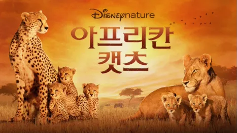 thumbnail - 아프리칸 캣츠