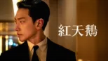 thumbnail - 紅天鵝