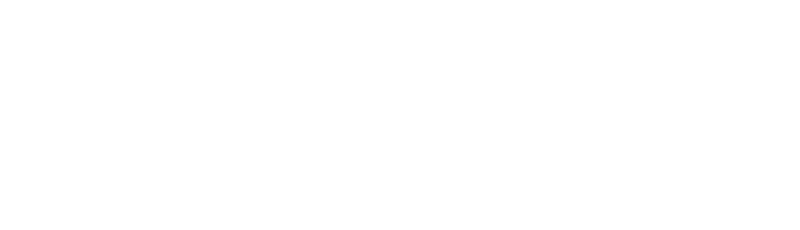 Borussia Dortmund vs. Sv Darmstadt 98