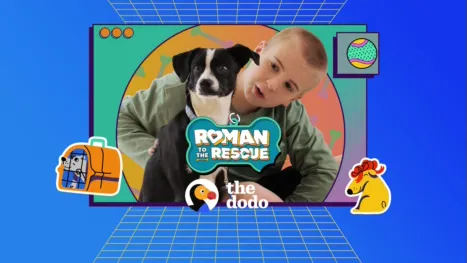 thumbnail - Roman to the Rescue