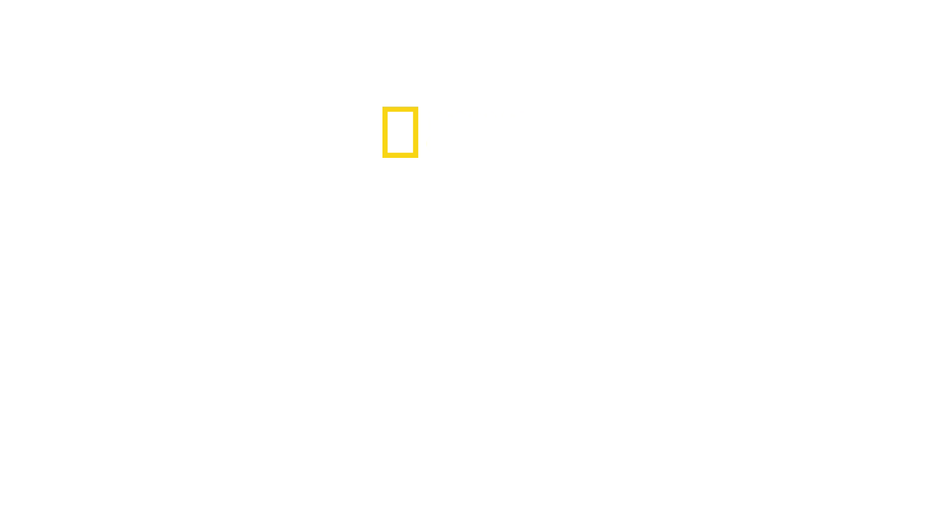 Die tödlichsten Haie der Welt