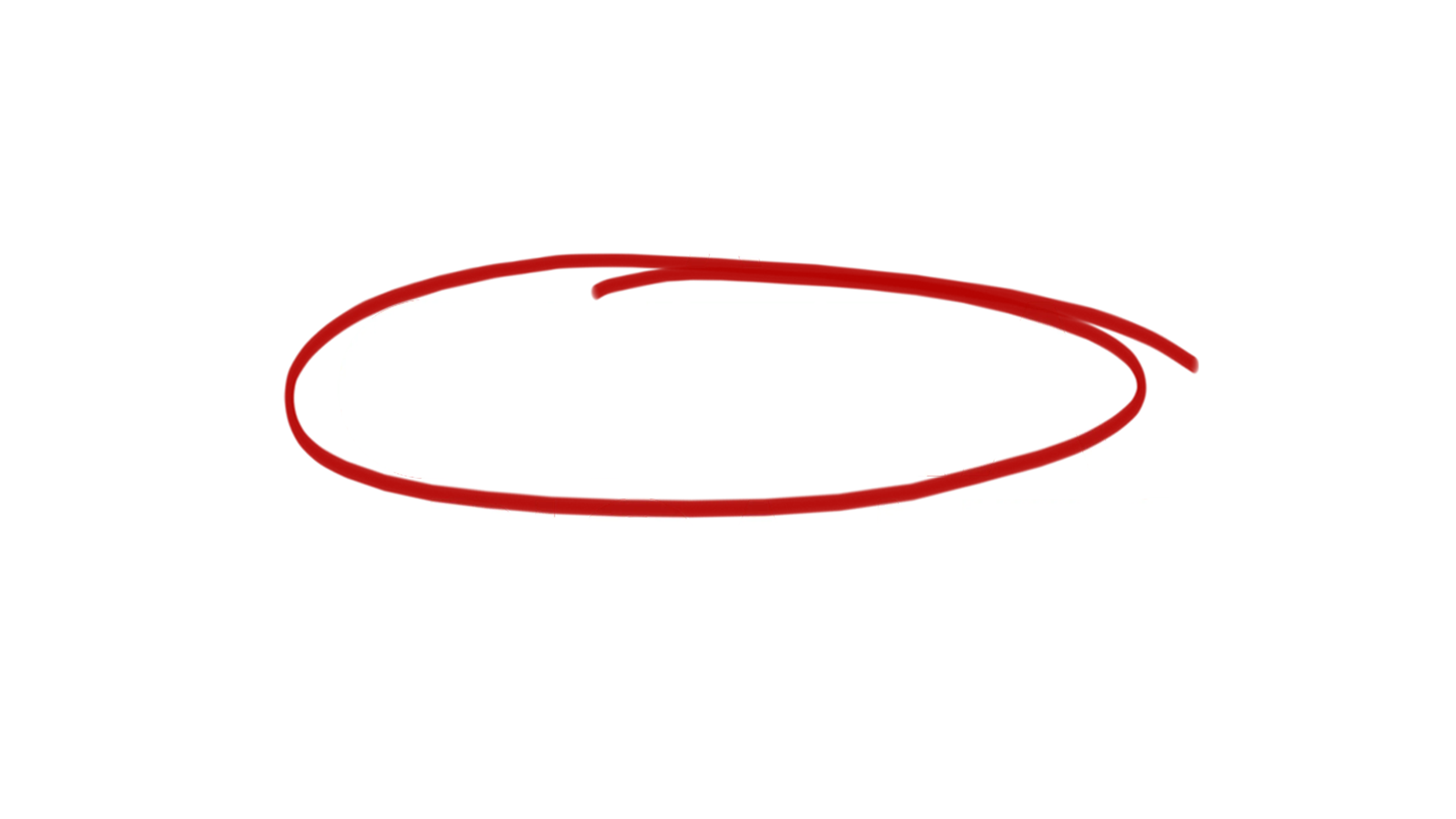 A Outra Rapariga Negra