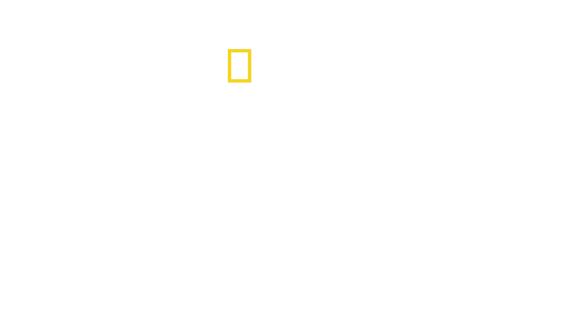 Les trésors perdus de la Vallée des Rois
