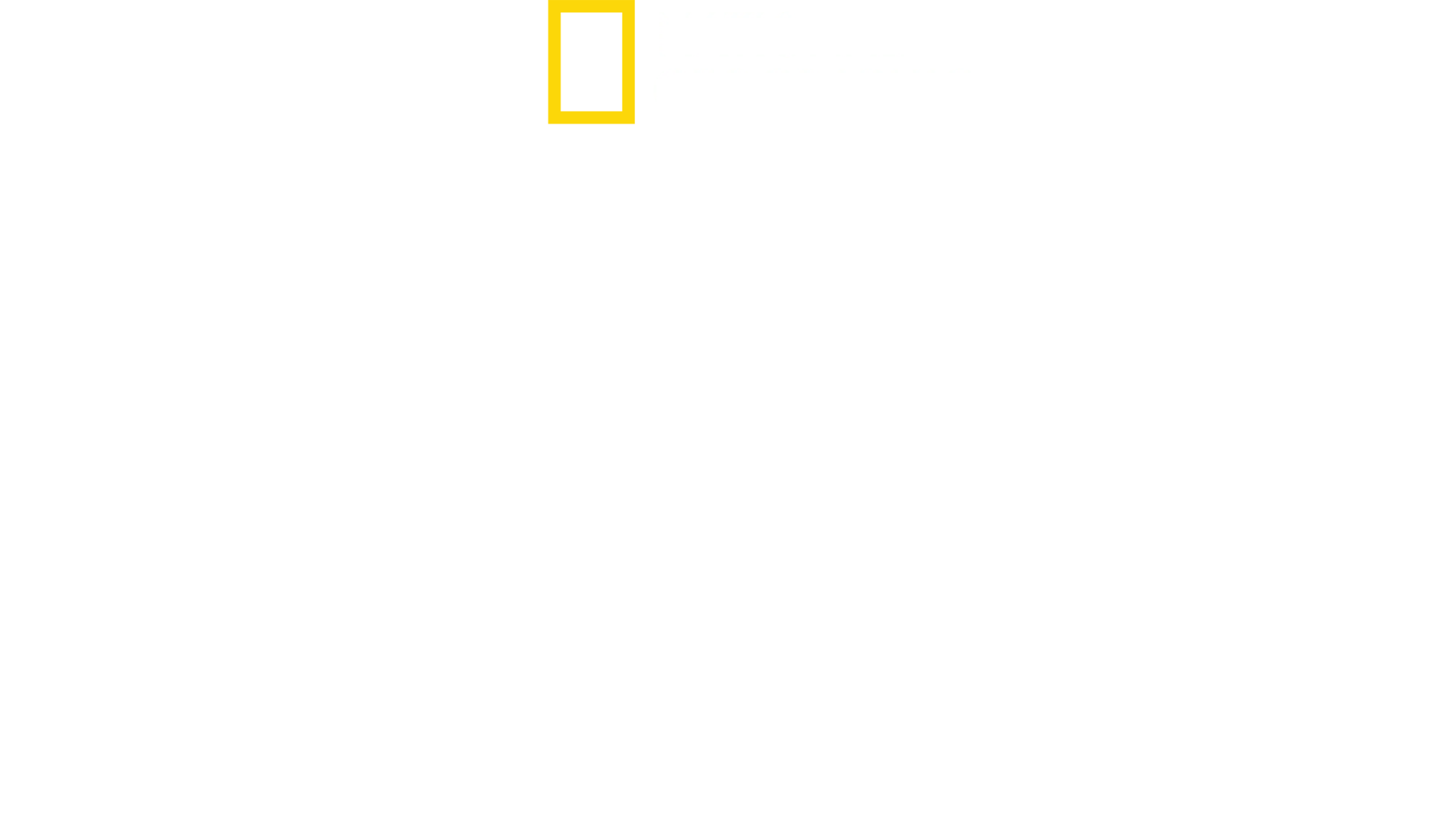 개의 진화: 지금의 모습을 갖기까지