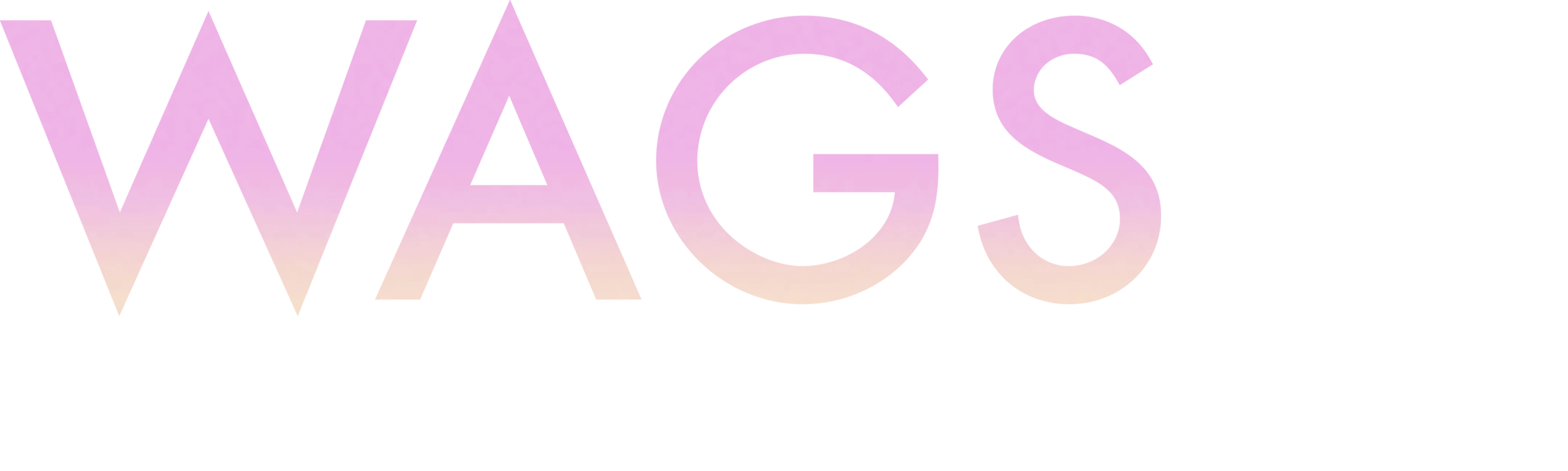 WAGS Miami