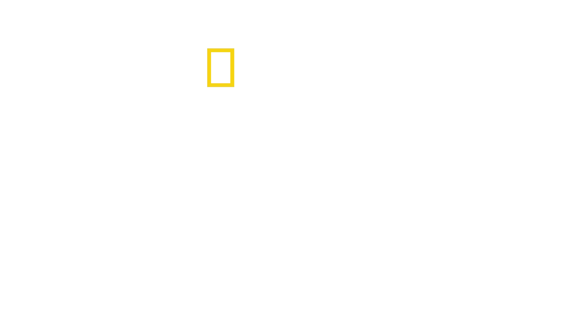 Antoni Porowski: Gustul unic de acasă