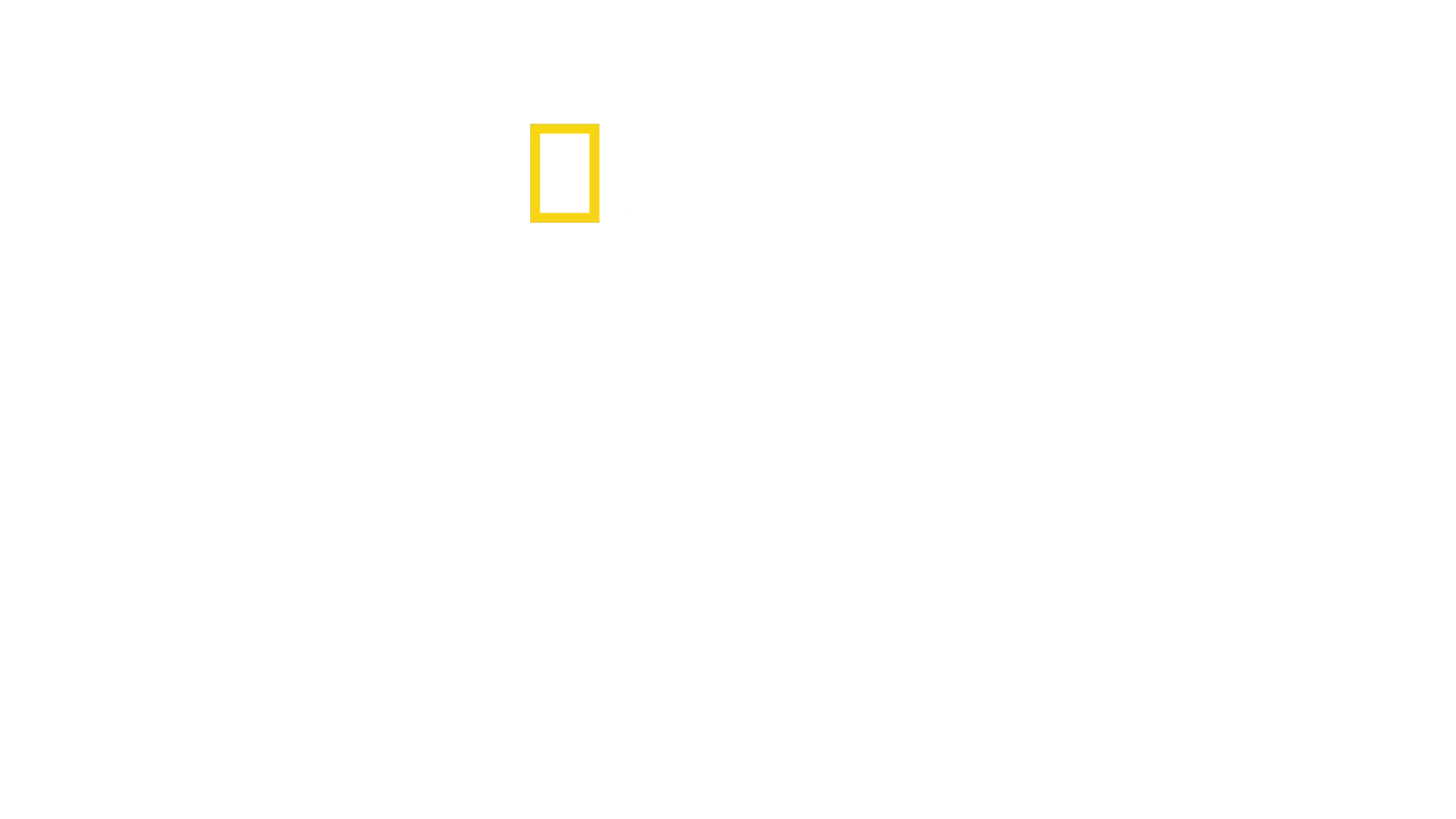 Antoni Porowski: Gustul unic de acasă