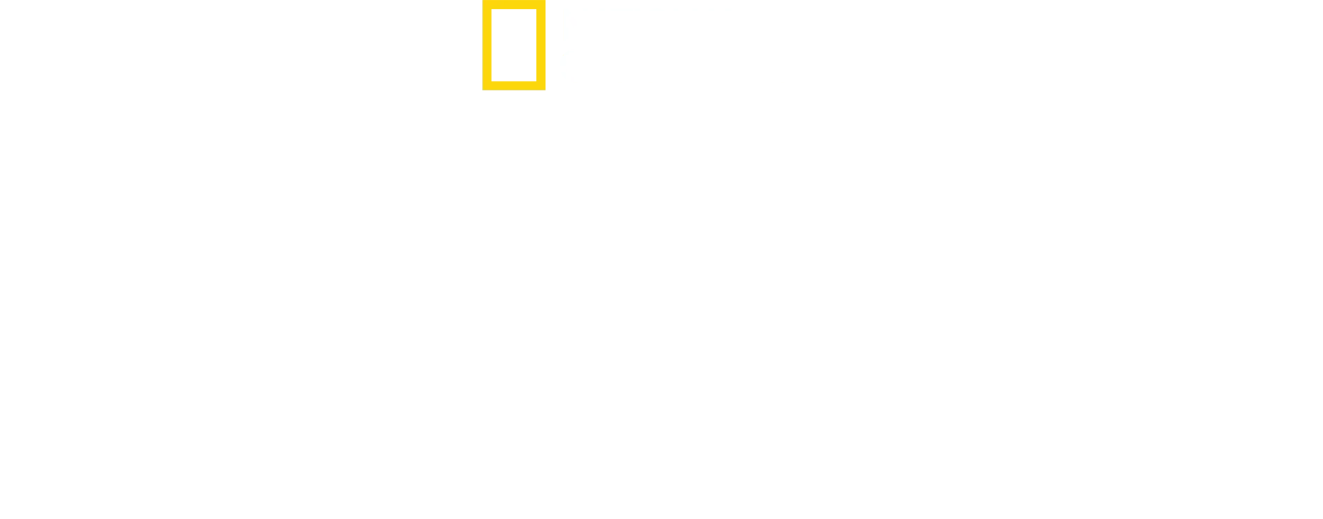 Antoni Porowski: Gustul unic de acasă