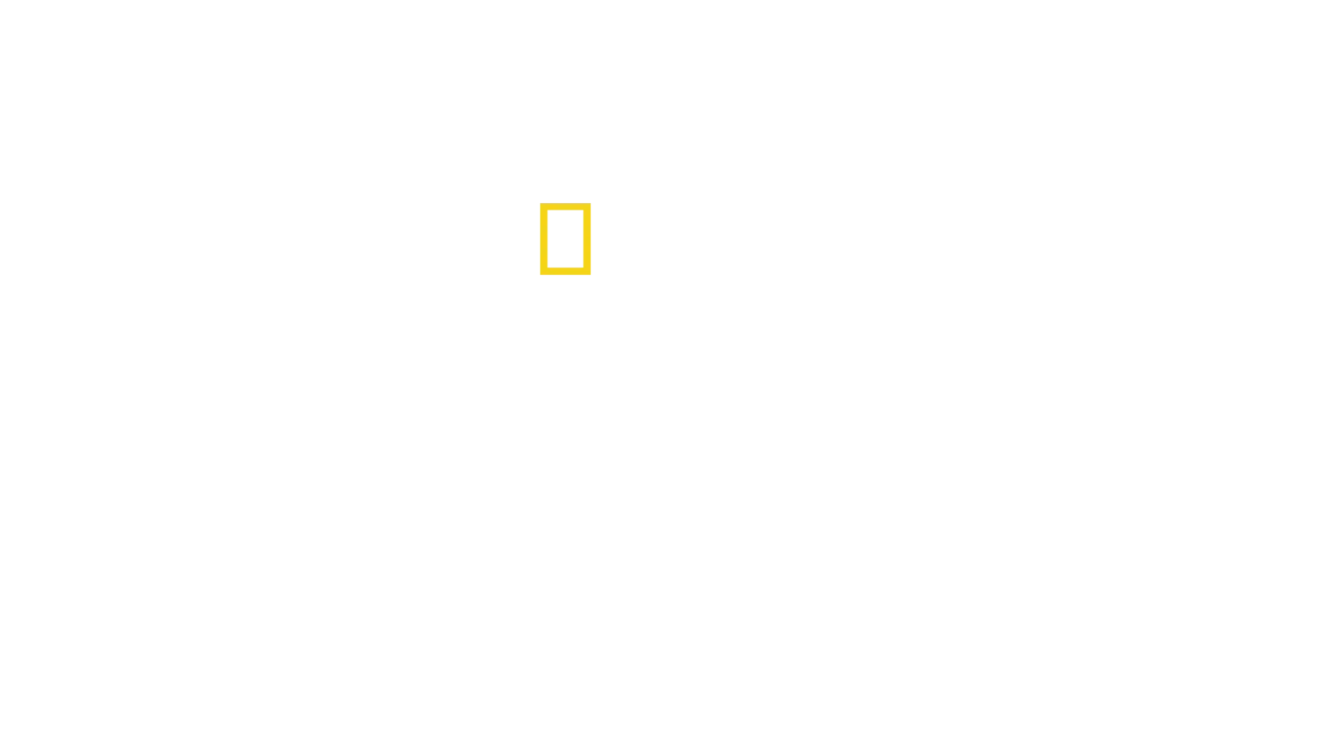 Chris Hemsworth à la rencontre des requins