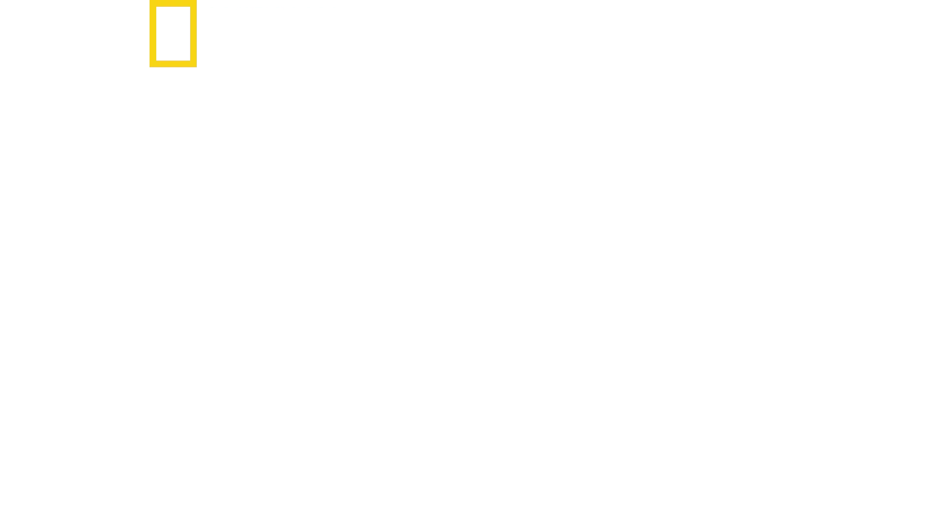 De Paris à Pittsburgh, lutte pour le climat