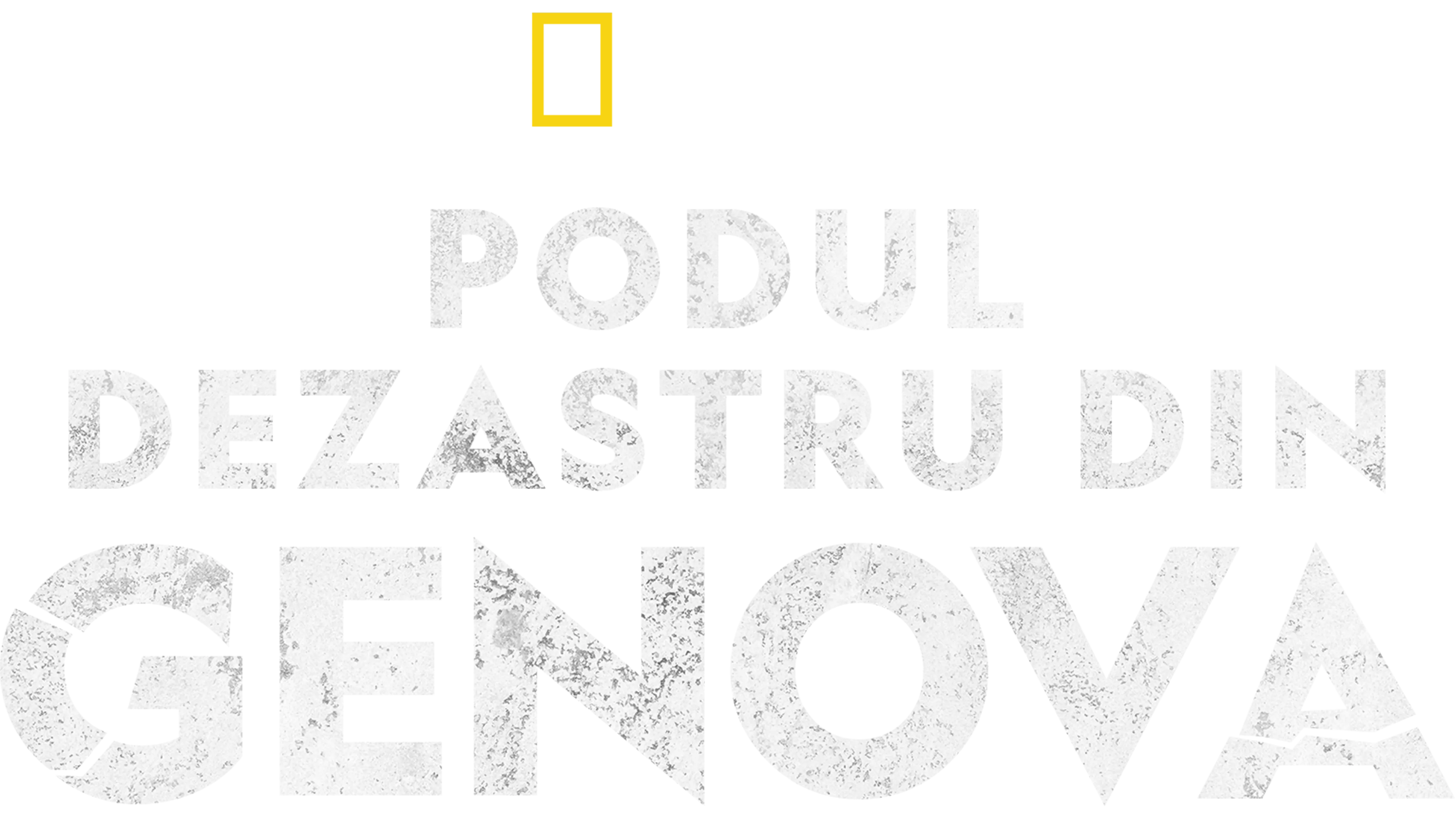 Podul dezastru din Genova