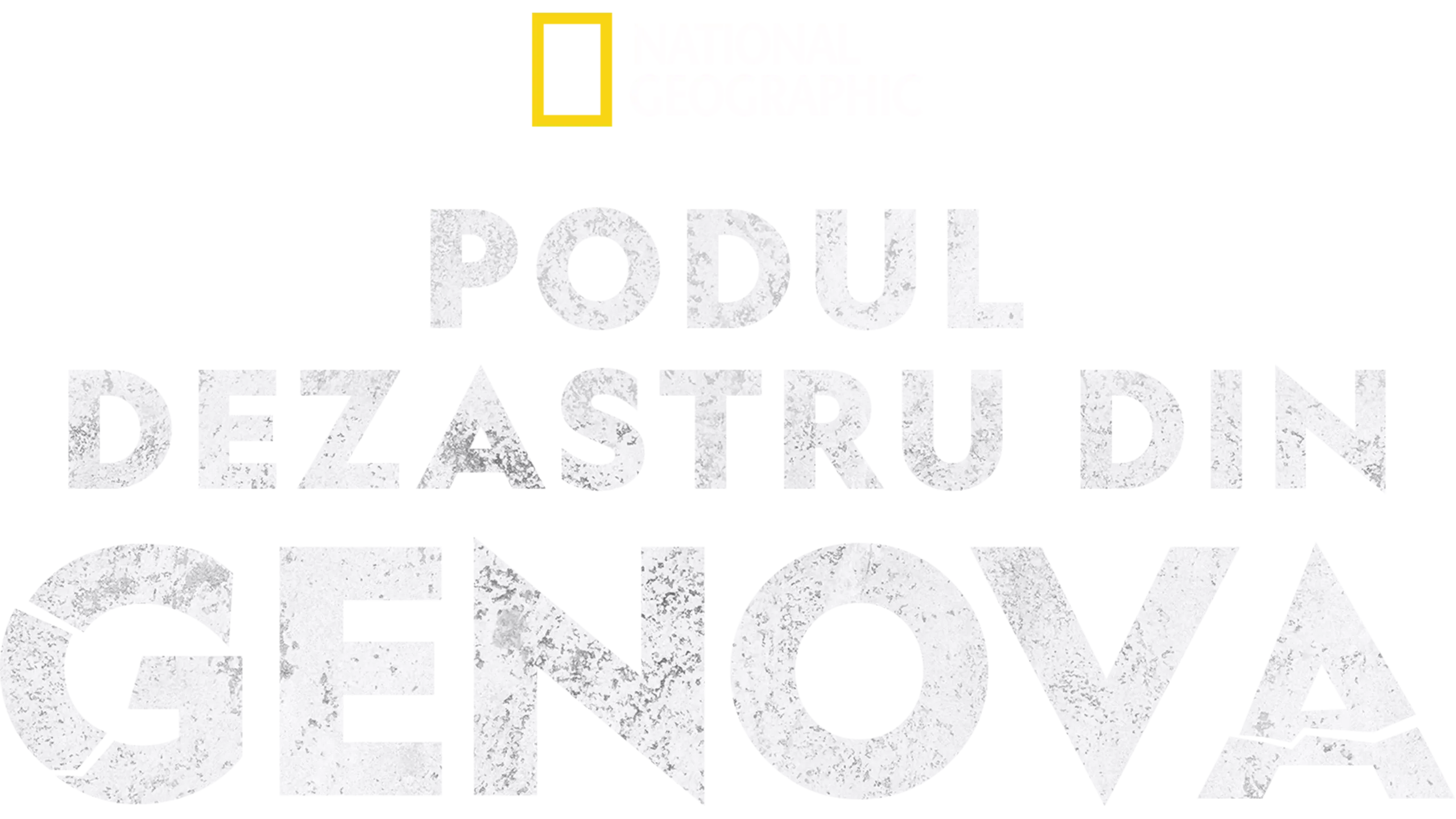 Podul dezastru din Genova