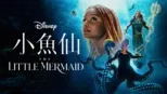 thumbnail - 小魚仙