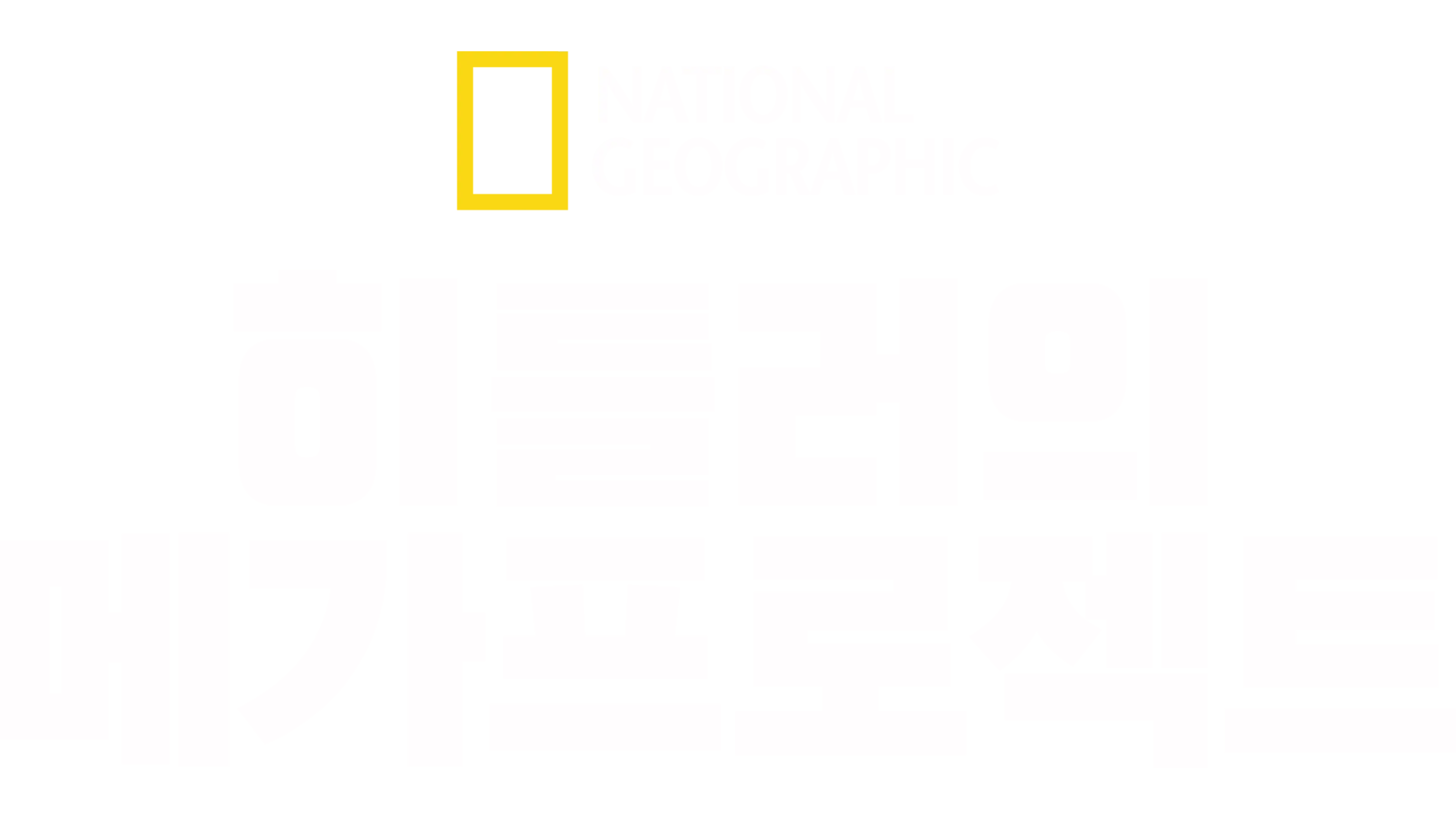 히틀러의 메가프로젝트