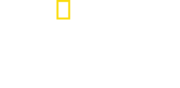 히틀러의 메가프로젝트