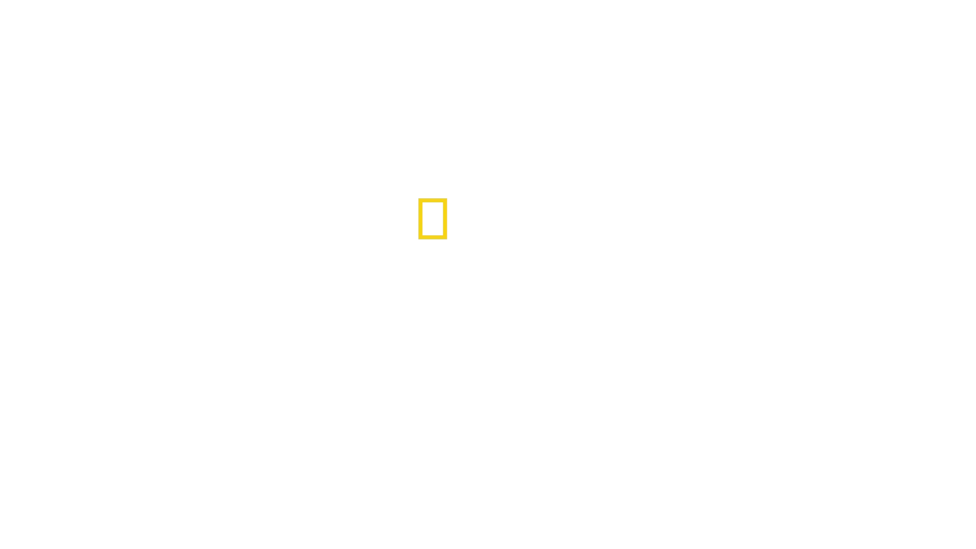 Punto di non ritorno