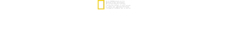Punto di non ritorno