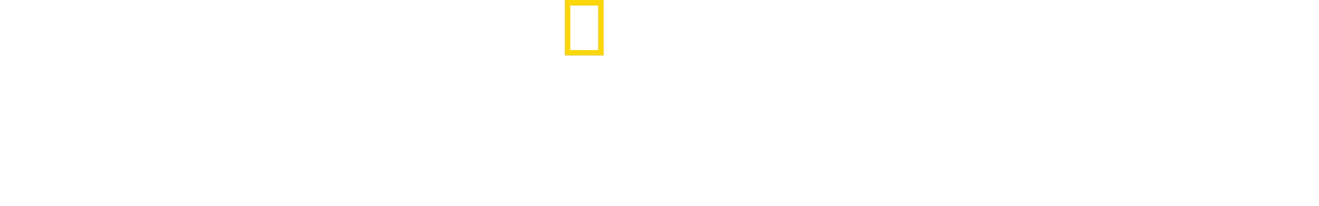 Punto di non ritorno