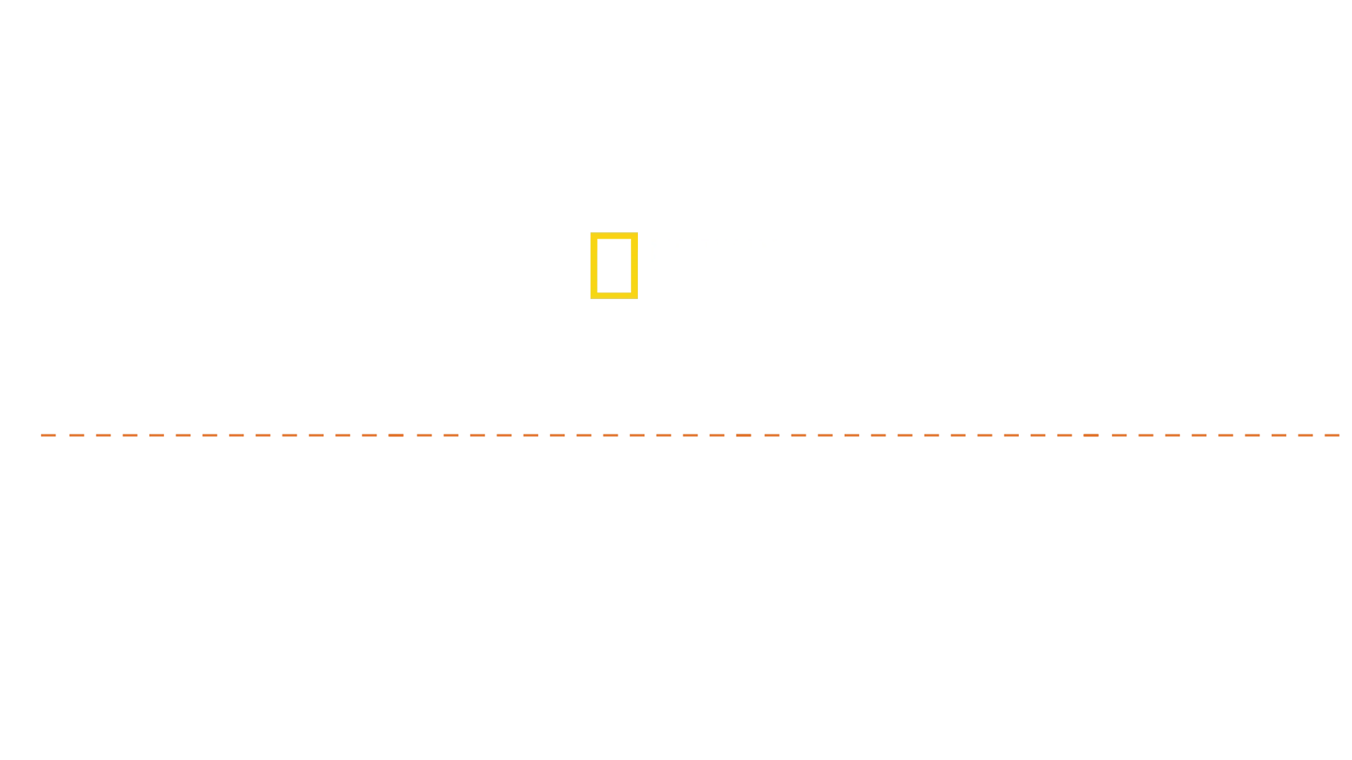 Disaster Autopsy