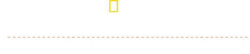 Katastrofitutkinta
