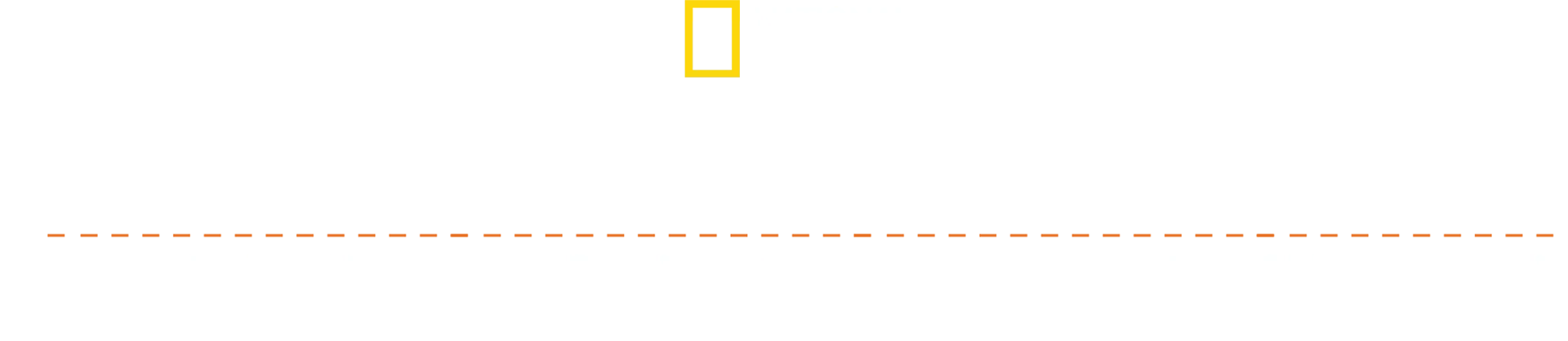 Katastrofitutkinta