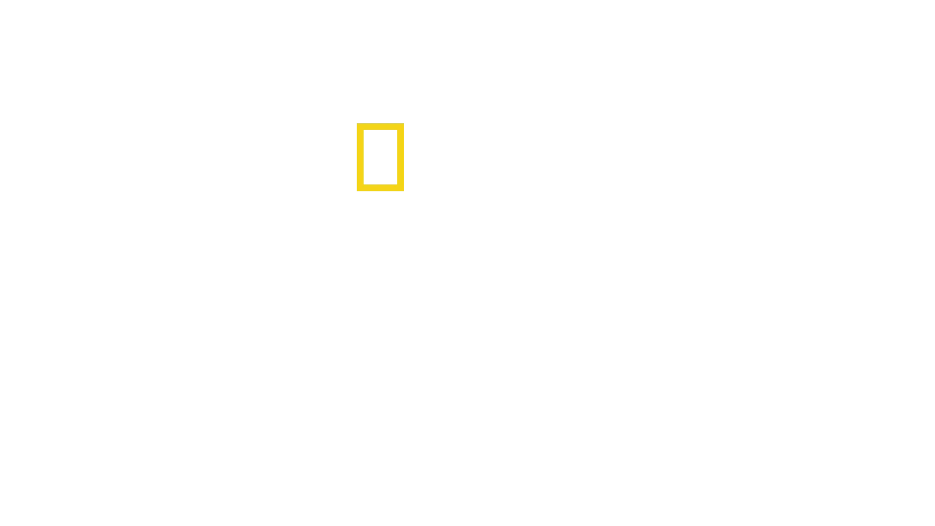 Conociendo a los chimpancés