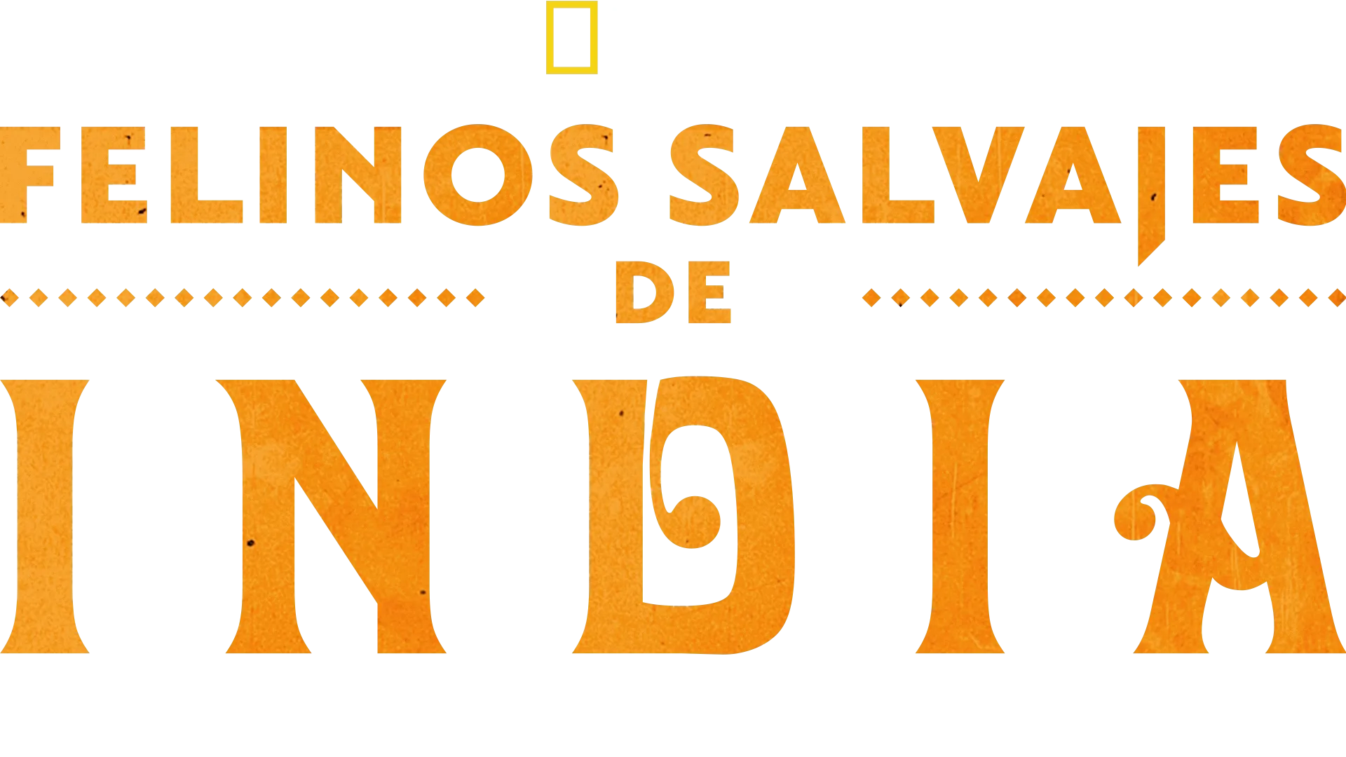 Felinos salvajes de India