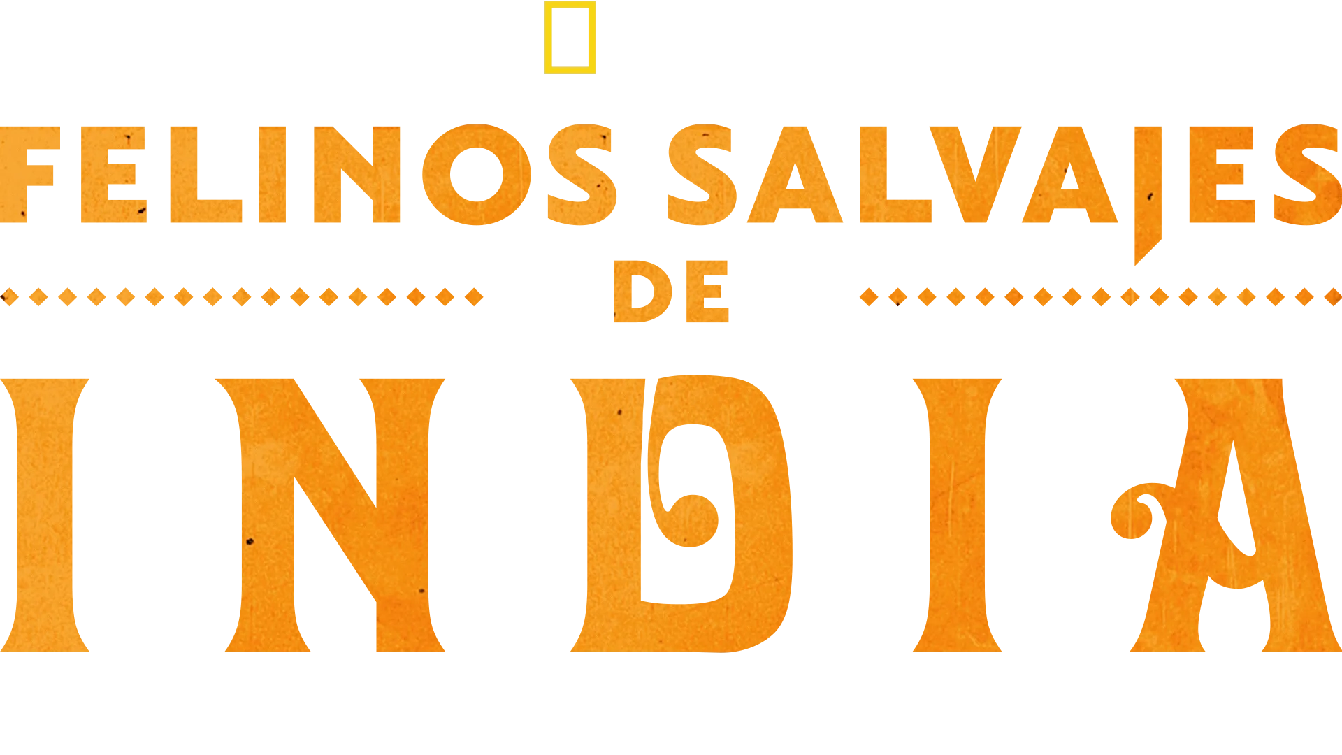 Felinos salvajes de India