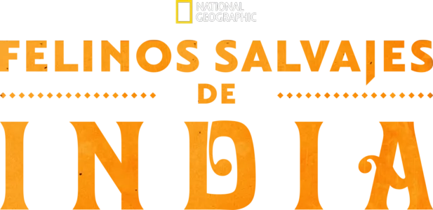Felinos salvajes de India