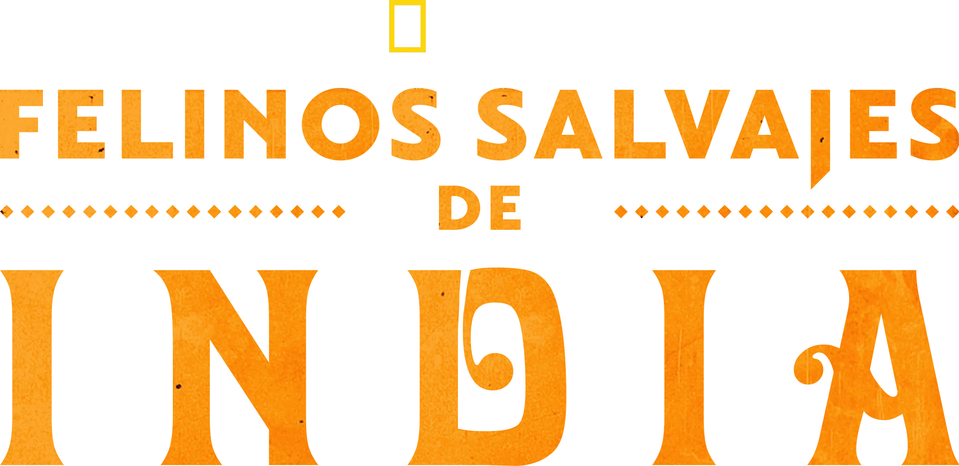 Felinos salvajes de India
