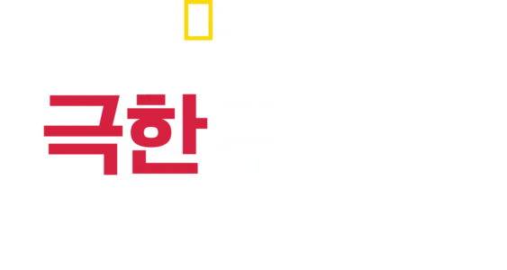 극한 구조대