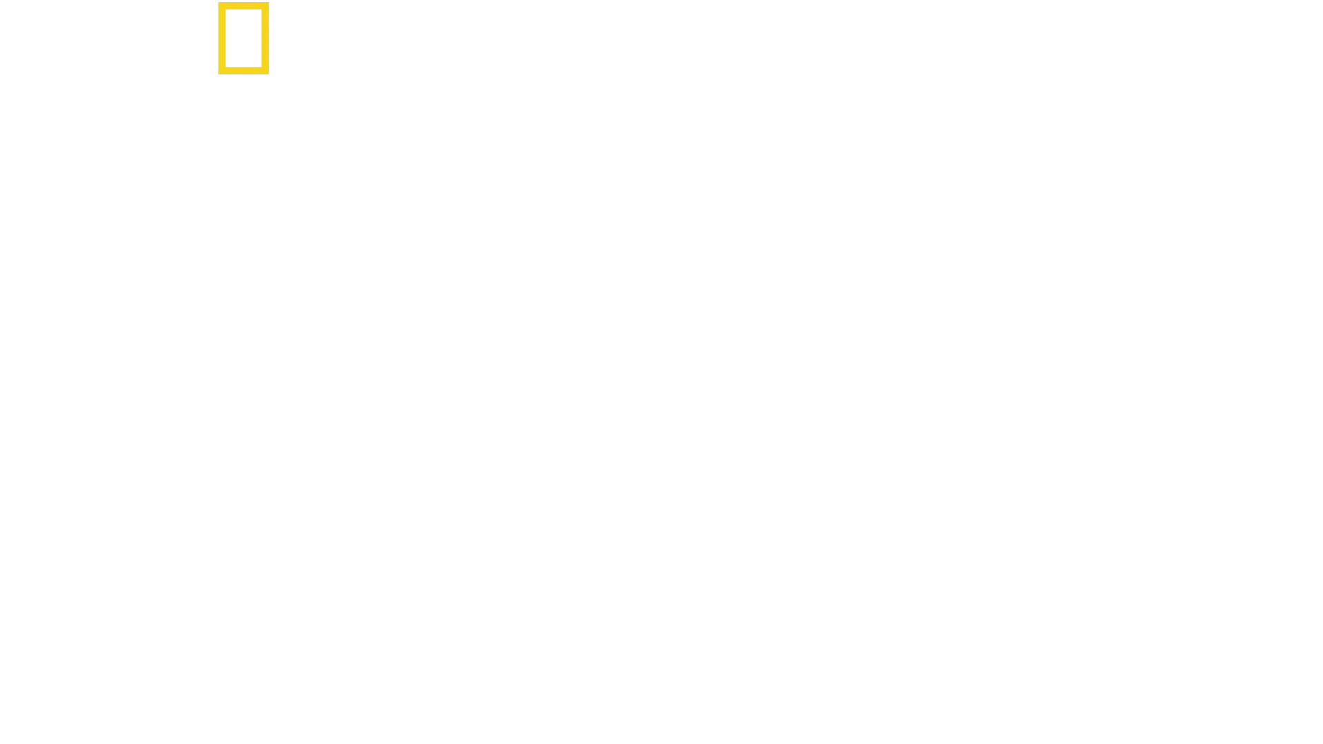 Sharks of the North