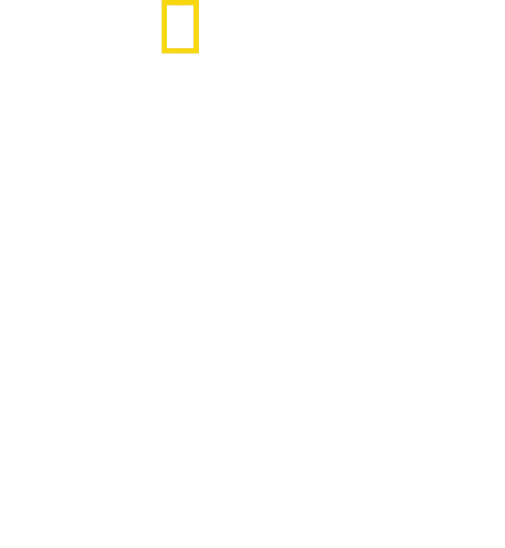 Sharks of the North