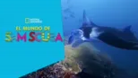 thumbnail - El mundo de Sam Scuba