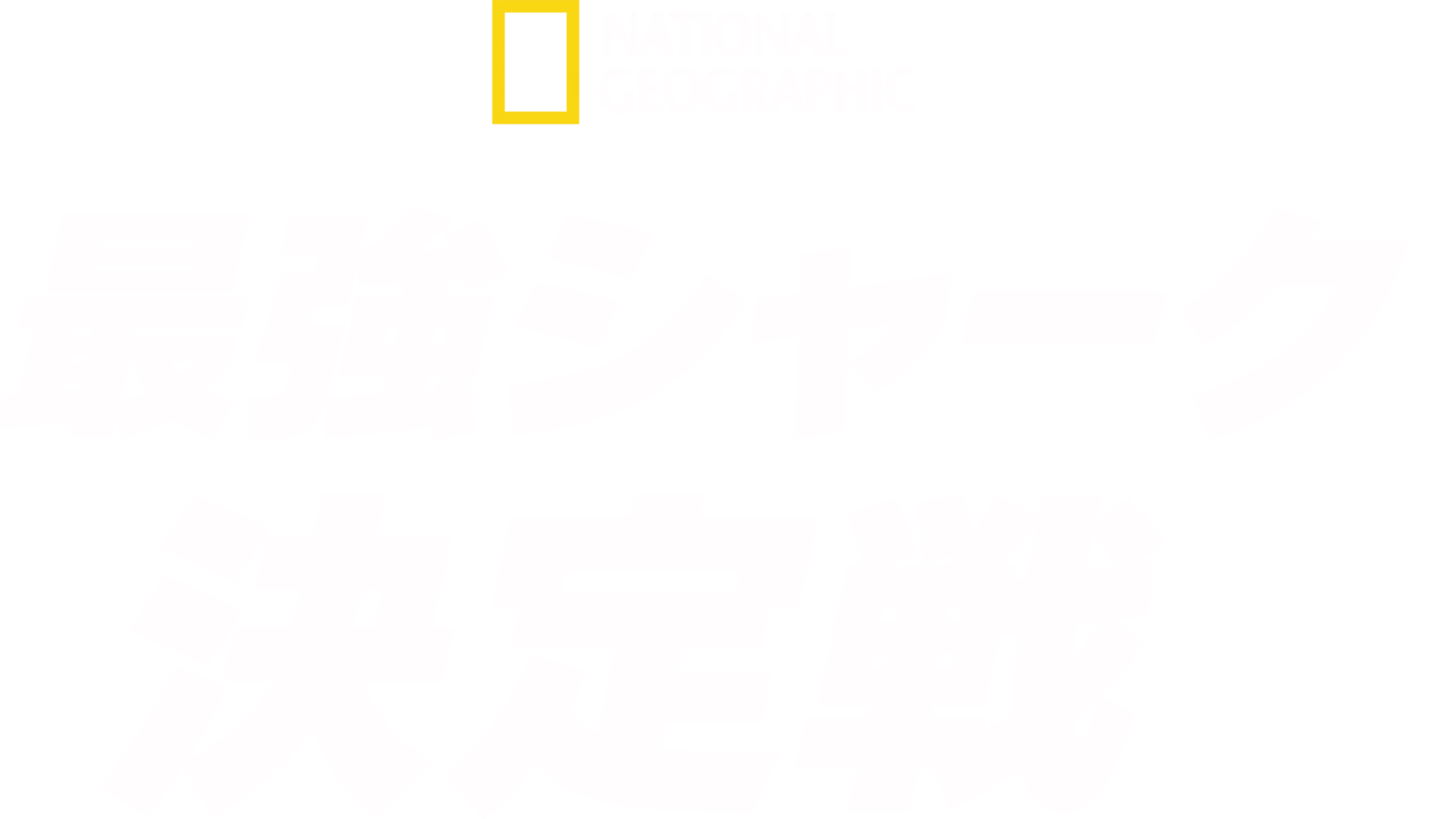 最強シャーク 王座決定戦！