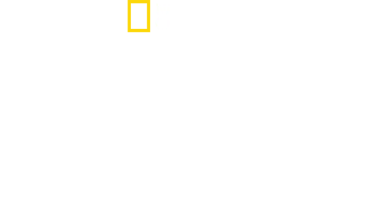 最強シャーク 王座決定戦！