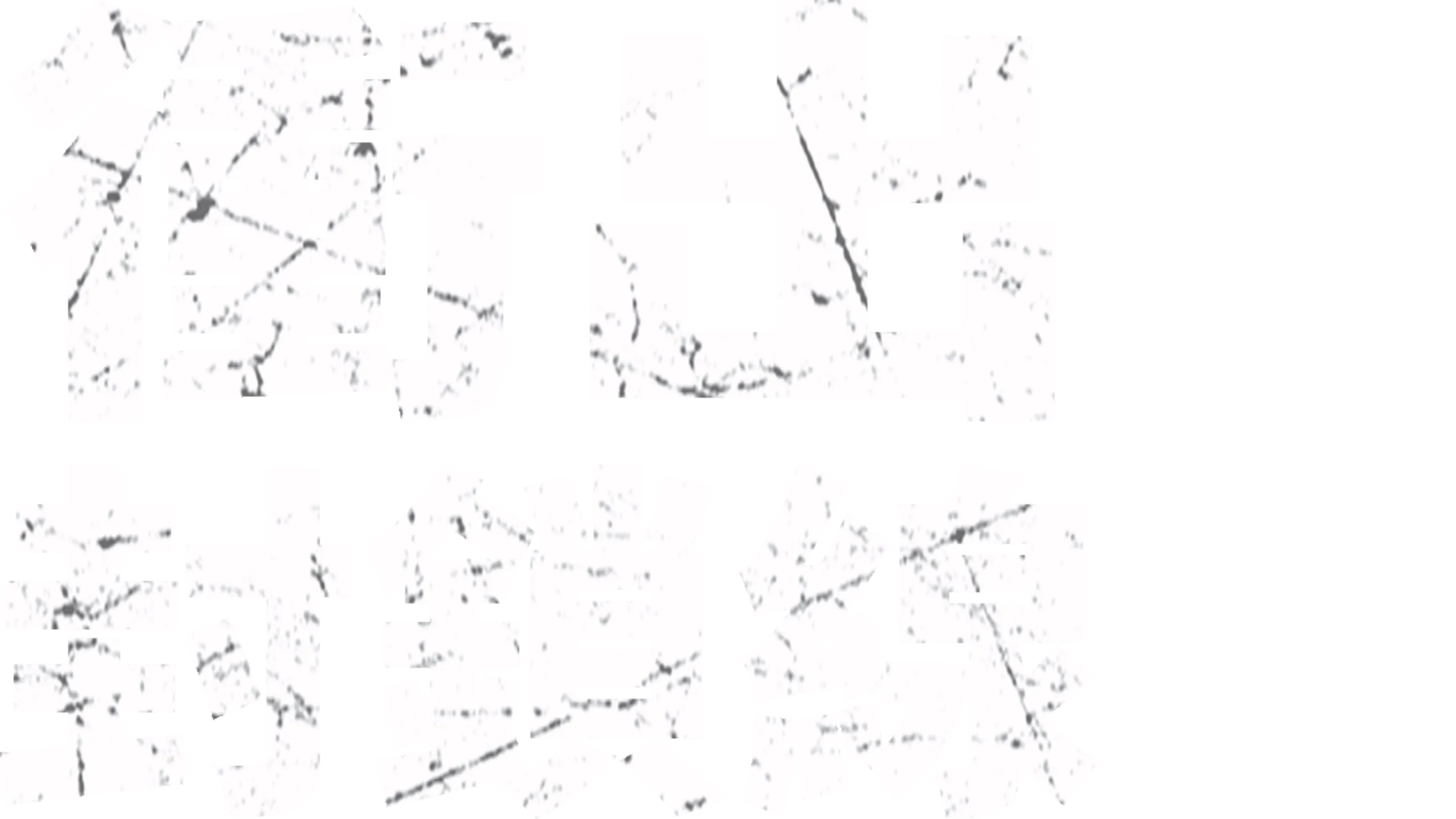 衝出封鎖線