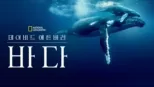 thumbnail - 데이비드 애튼버러: 바다