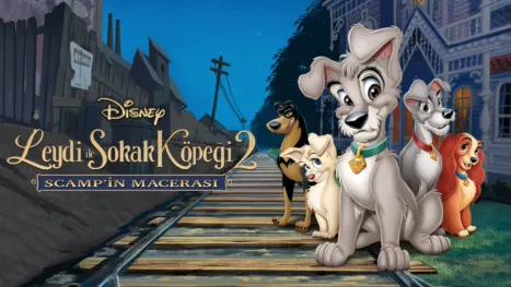 thumbnail - Leydi ile Sokak Köpeği 2: Scamp’in Macerası