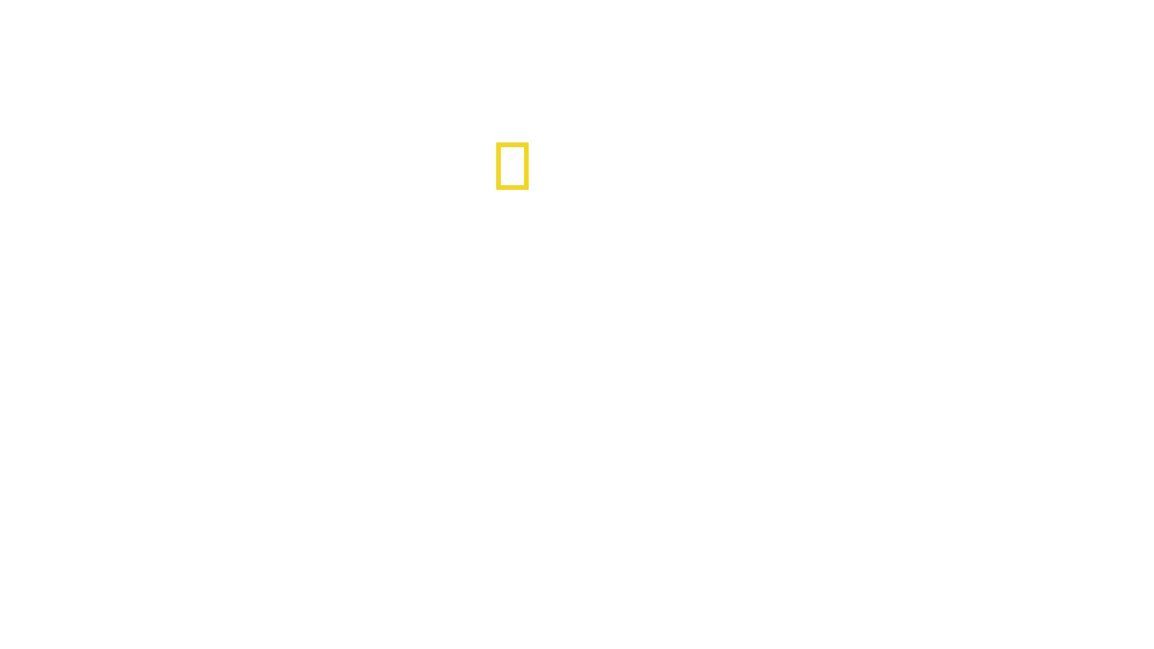 La planète des oiseaux