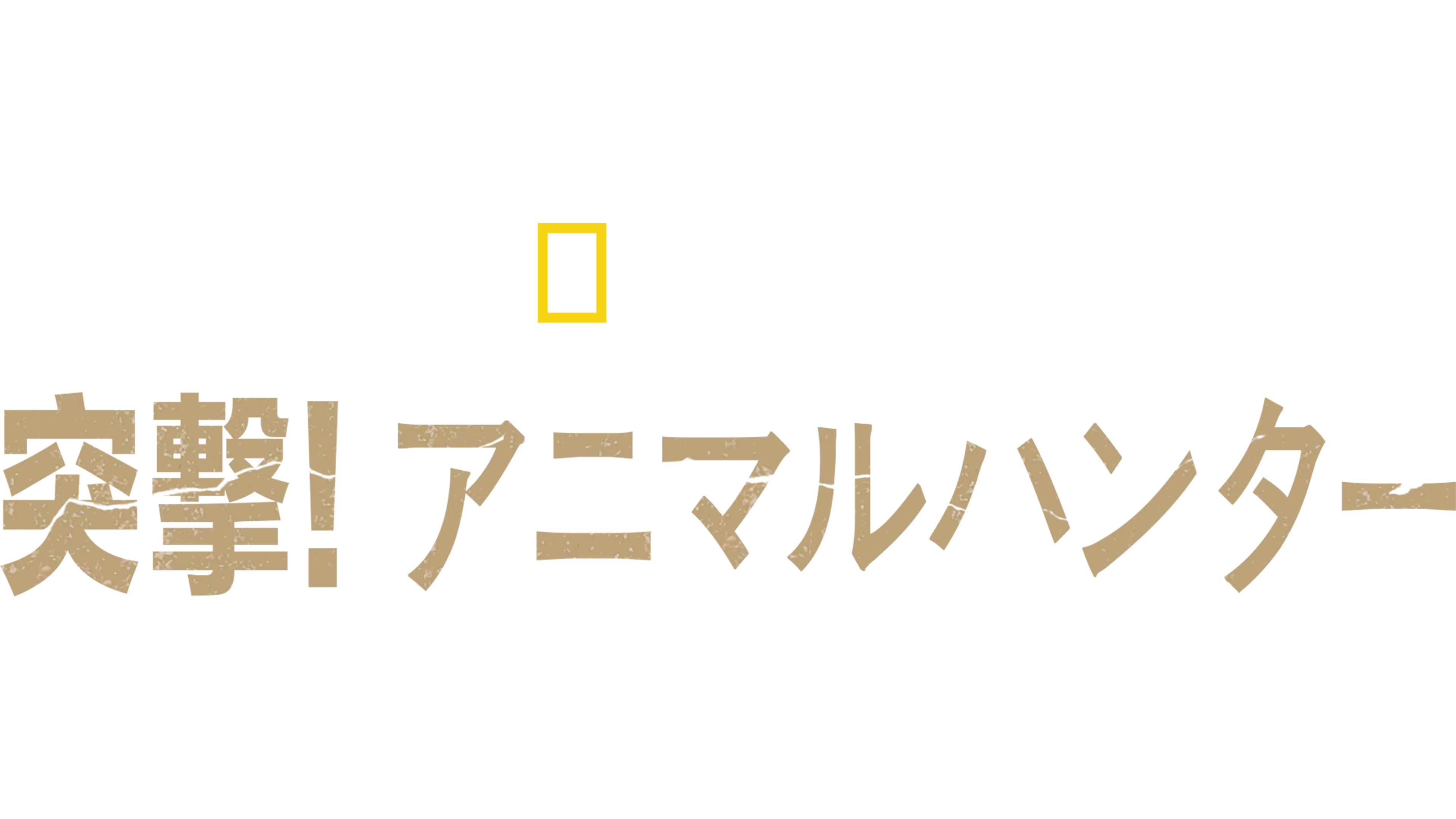 突撃！アニマルハンター