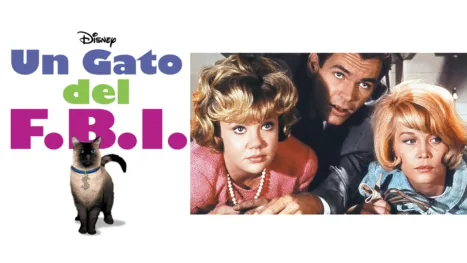 thumbnail - Un gato del F.B.I.