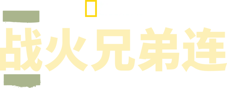 战火兄弟连