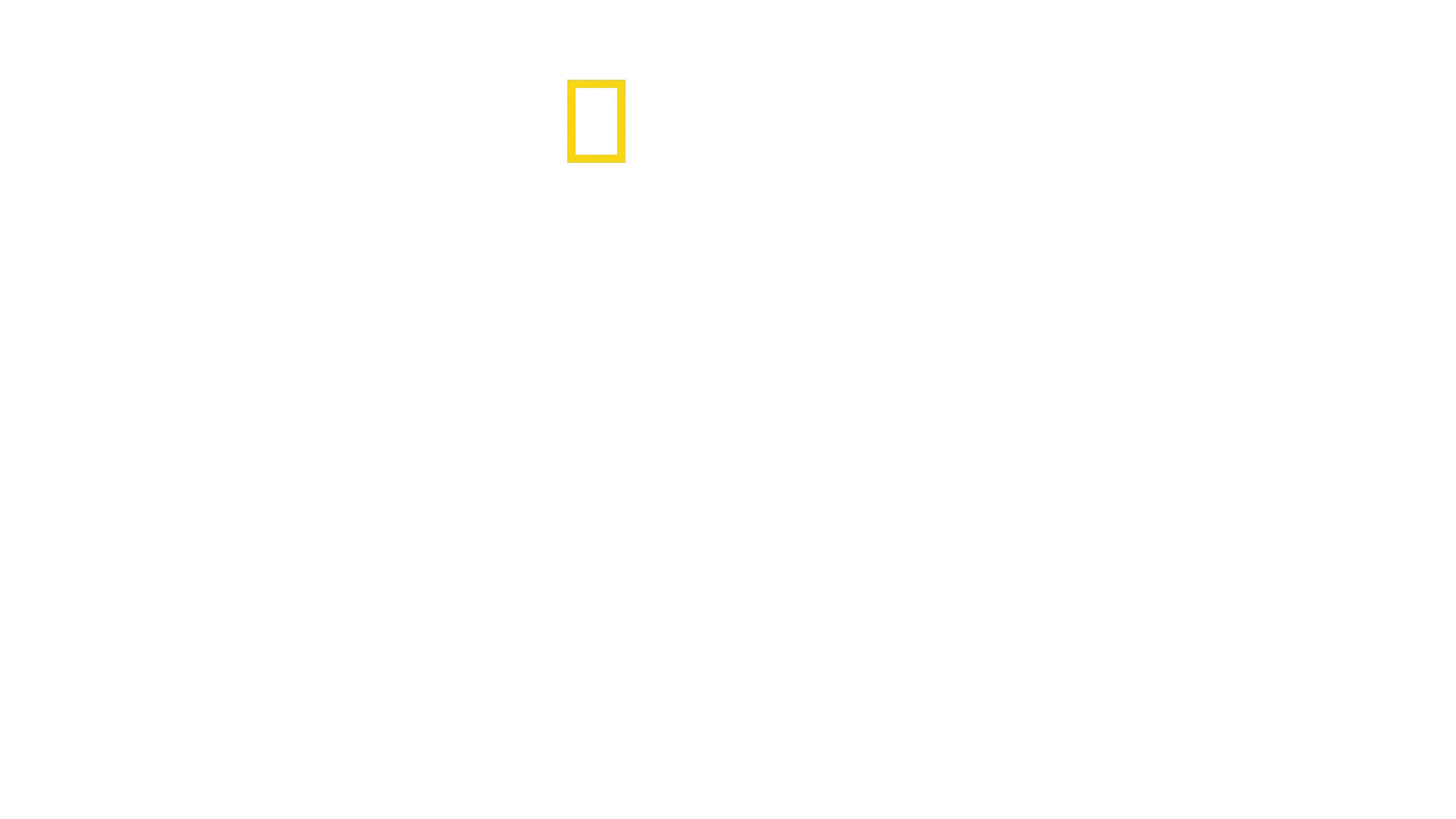 Dr. K's Exotic Animal ER