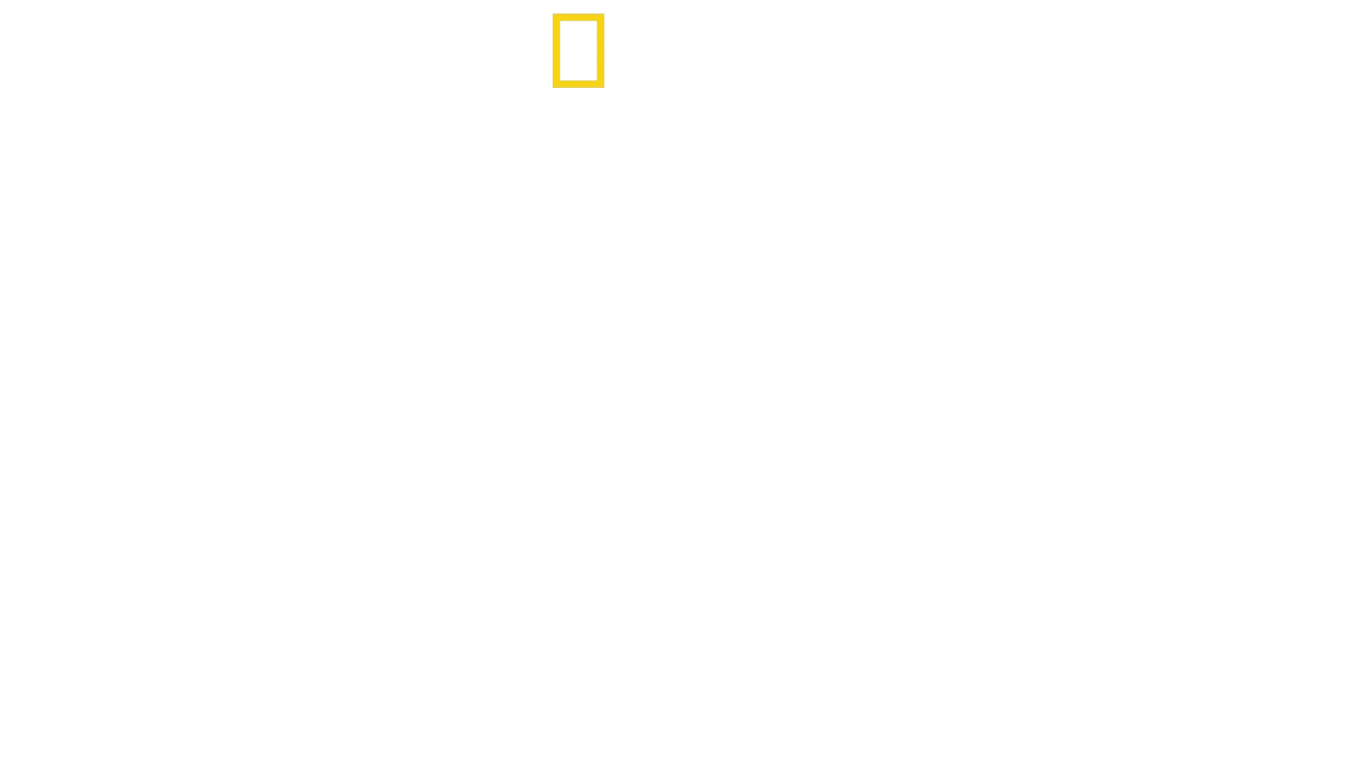 La Magia de Animal Kingdom de Disney