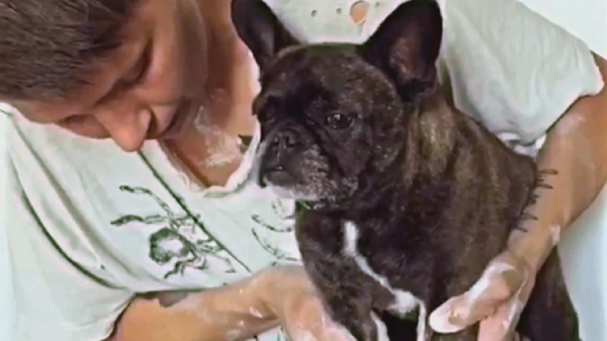 thumbnail - S2:E9 Pup Fiction