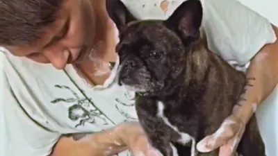 thumbnail - S2:E9 Pup Fiction