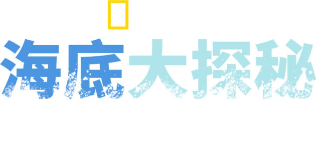 海底大探索：二战船舰